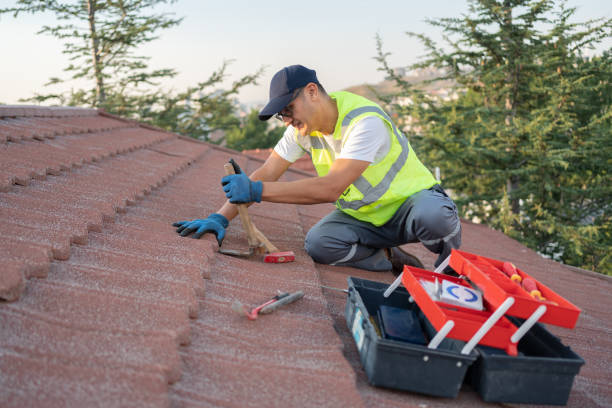 Best Roof Leak Repair  in Sans Souci, SC